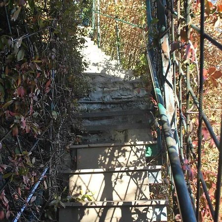 Andrea Olga House Apartment Laglio