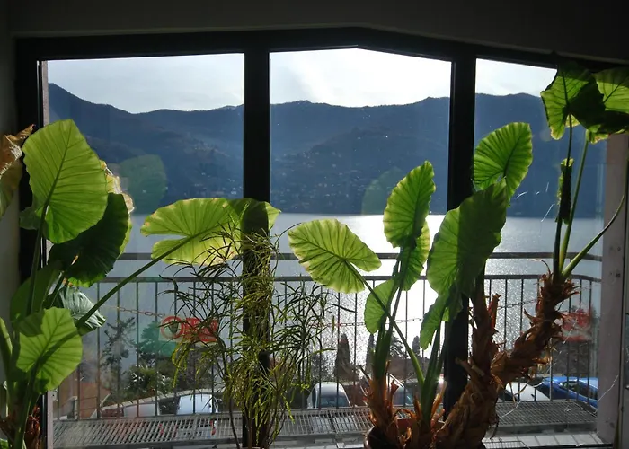 Andrea Olga House Daire *