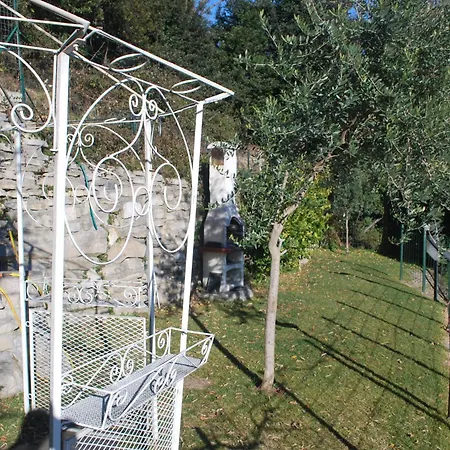 Andrea Olga House Лалльо